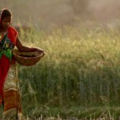 Fertilizer-top-slider3-175x175 Fertilizer-top-slider3-175x175